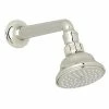 Flash Sale 👏 ROHL® Single Function Classic Showerhead in Polished Nickel 😉 -ROHL Sales Query 1012