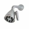 Deals 😍 ROHL® Bellia Single Function Jet Showerhead in Polished Nickel 🧨 -ROHL Sales Query 241