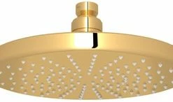 Deals 🌟 ROHL® Campo™ Single Rain Showerhead in Inca Brass 🧨