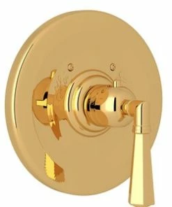 Outlet 🧨 ROHL® Palladian® 7-3/32 in. Brass Valve Trim in Inca Brass 🛒