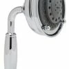 Best reviews of 🤩 ROHL® Joffrey Multi Function Hand Shower in Polished Nickel 🎉 -ROHL Sales Query 598