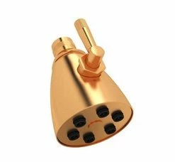 Best deal 🌟 ROHL® Campo™ Single Rain Showerhead in Satin Gold 😀