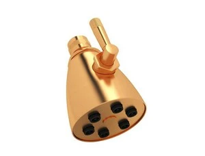 Best deal 🌟 ROHL® Campo™ Single Rain Showerhead in Satin Gold 😀 3 Best deal 🌟 ROHL® Campo™ Single Rain Showerhead in Satin Gold 😀