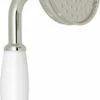 Buy 👏 ROHL® Priya Single Function Hand Shower in Polished Nickel ⌛ -ROHL Sales Query 864